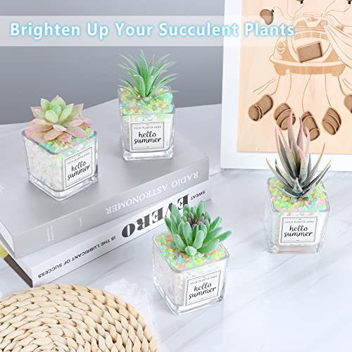 10000pcs 3-5mm Colorful Glowing Fish Tank Pebbles Small Glow Stones for Fairy Garden,Succulents and Cactus Bonsai DIY Projects - style: Color