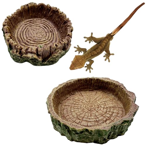 2 Pack Small Reptile Food Bowls, Reptile Feeding Terrarium Bowls for Bearded Dragon Lizard Frog Gecko Tortoise Hermit Crab Snail (Brown B) - color: Brown - 2 Pack S+M Bowls