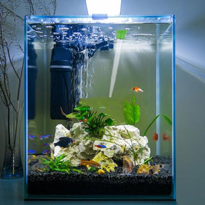 Beavorty Manual Acrylic Fish Tank Water Changer Hand Pump Mechanism for Quick Water Changes in Small Aquariums and Fish Bowls Aquarium Cleaning Tool