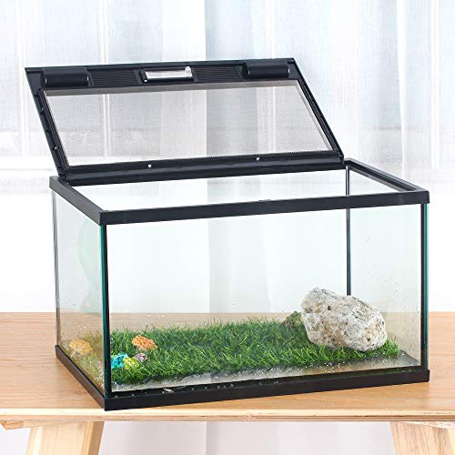 Frogs Glass Terrarium Feeding kit Tank, 15.7×11×9 inches, for Reptile Amphibians, Insect, Horned Frogs, Waterweed Prairie Style Habitat, with Green Artificial Turf Pad, Natural Volcanic Rock | Mesh Top Ventilation, Feeding Port, Lockable Lid, For Small Ho