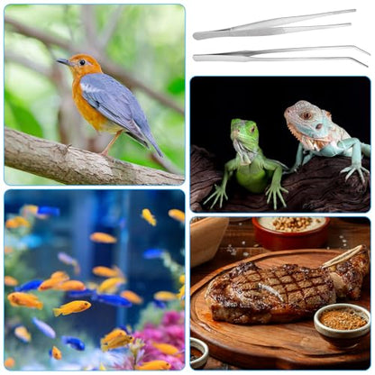 2 Pcs Feeding Tongs,Reptile Feeding Tongs Aquarium Tweezers 10.5 in Straight & 9.8 in Curved Extra Long Tweezers for Aquarium Terrarium Lizards Snakes Bearded Dragon