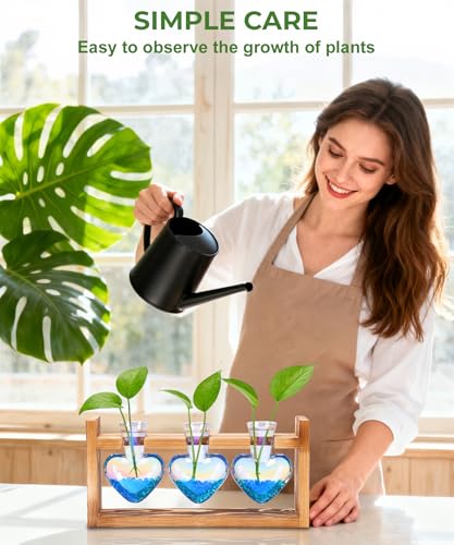 Plant Terrarium with Wooden Stand, 3 Heart Bulb Glass Vases | Wooden Stand Tabletop for Air Planter, Gifts for Mom Plant Lovers Mom Women Wife Grandma - color: Iridescent Clear