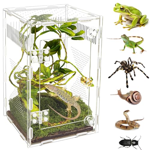 Acrylic Jumping Spider Habitat, Reptile Terrarium Easy Assembly, Bug Enclosure, Praying Mantis Habitat, Frog Enclosure, 9.8 * 5.9 * 5.9in - size: M-9.8*5.9*5.9in-Upgrade