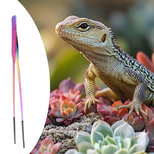 Reptile Feeding Tongs Stainless Steel Silicone Tip Aquarium Tweezers Terrarium Clamp Feeder Tool Water Grass Clip Suitable for Fish Tank Small, Straight - color: Straight