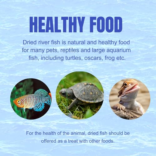 Amzey 3 Pack 0.8Oz (Total 2.4Oz or 68Gram Dried River Fish - Natural Food for Turtles, Terrapins, Reptiles and Large Tropical Fish - size: 0.8 Ounce (Pack of 3)