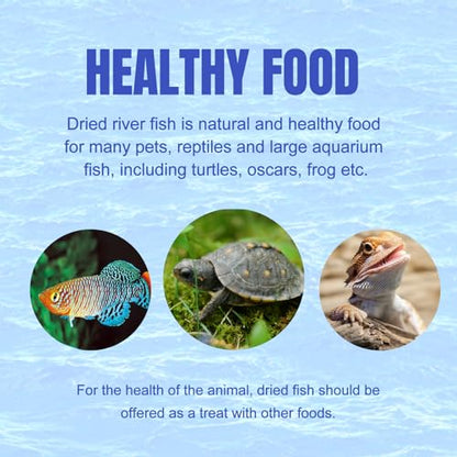 Amzey 2.3 oz Dried River Fish - Natural Food for Turtles, Terrapins, Reptiles and Large Tropical Fish - size: 2.3 Ounce (Pack of 1)