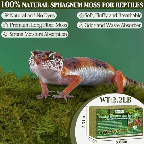 2.2 lb Sphagnum Moss for Reptiles | 60 qt Reptile Bedding Substrate Tank Accessories Moss, Green Forest Moss for Leopards Geckos Snakes Turtles Frogs - color: 2.2lb