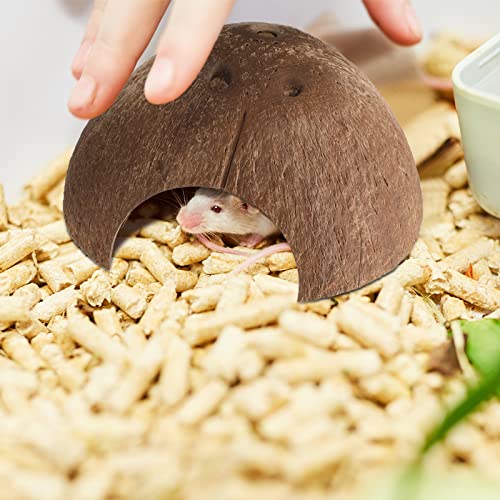 Woanger 6 Pcs Natural Coconut Reptile Hideouts, Coco Hut Hide Toys for Lizards, Geckos, Hermit Crabs, Snakes, Tarantulas, Small Reptile Habitat Decoration Supplies