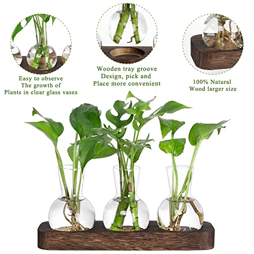 YIBOT Plant Propagation Station, Desktop Glass 3 Bulb Vase Brown Wood Tray | Planter Hoder Terrarium,Hydroponic Flower Cuttings Jars, No Assembly, Easy Water Refill, Home Office Decor, Lover Gift Idea - size: 3 Vase-T