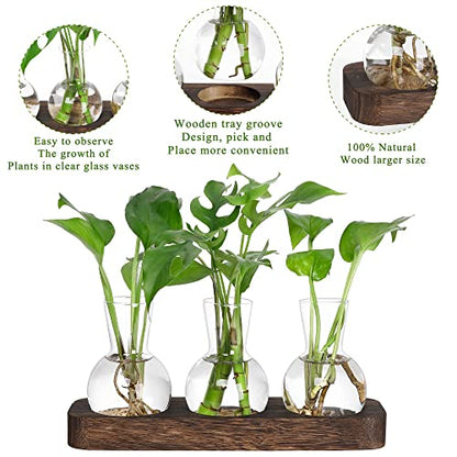 YIBOT Plant Propagation Station, Desktop Glass 3 Bulb Vase Brown Wood Tray | Planter Hoder Terrarium,Hydroponic Flower Cuttings Jars, No Assembly, Easy Water Refill, Home Office Decor, Lover Gift Idea - size: 3 Vase-T