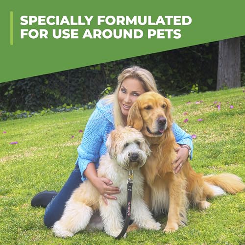 Simple Green Outdoor Odor Eliminator for Pets, Dogs, Ideal for Artificial Grass & Patio (32 oz Hose End Sprayer) - size: 32 Fl Oz (Pack of 1)