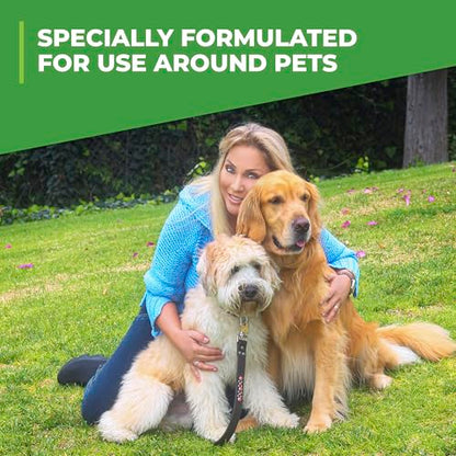 Simple Green Outdoor Odor Eliminator for Pets, Dogs, Ideal for Artificial Grass & Patio (32 oz Hose End Sprayer) - size: 32 Fl Oz (Pack of 1)