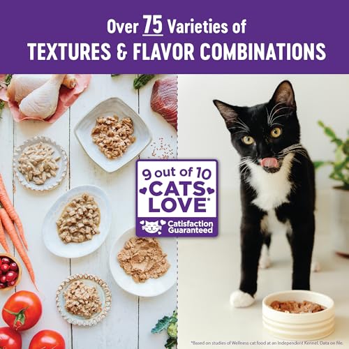 Wellness Healthy Indulgence Morsels Adult Wet Cat Food, Natural, Protein Rich, Grain Free, Chicken Recipe, 3 oz, Pack of 24 Pouches