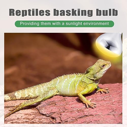 4 Pack 250 Watt Heat Lamp 120v R40 Heat Lamp Bulbs Glass Incandescent Light Bulbs Incandescent Heating Lightbulbs for Reptiles Chicks Food Puppies Bathroom, Use E26 Base (Silver) - color: Silver