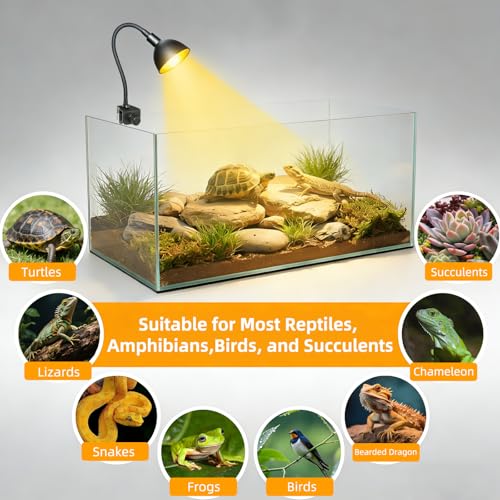 COOSPIDER 50W Turtle Basking Light Reptile Heat Lamp with Clamp & Timer | Fixture 360° Rotatable Hose with 2 Spare G9 Base Bulbs for Plants Small Reptiles Bearded Dragon Lizard Snake