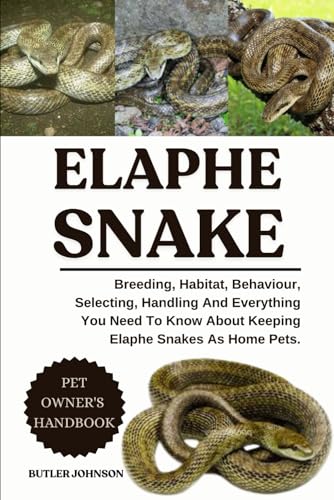 ELAPHE SNAKE: Breeding, Habitat, Behaviour, Selecting, Handling And Everything You Need To Know About Keeping Elaphe Snakes As Home Pets.