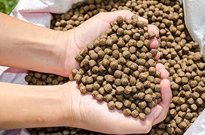 | Premium Floating Fish Food | Pond and Lake | Pellets | 2 Pounds
