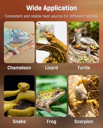 Pawfly Reptile Heating Pad 11.9 x 8 Inch - Reptile Heat Pad with Thermostat & Timer, 16 W Under Tank Heater, Heat Mat for Reptiles Hermit Crabs Turtles Frogs Snakes Lizards Geckos Plants Seedlings - size: 16 W (11.9 x 8 Inch)