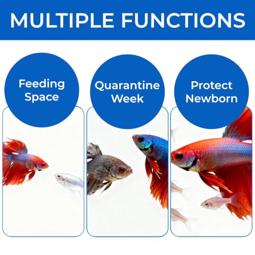 2 Pieces Breeder Box for Fish Tank, Floating Plastic | Aquarium Isolation Box, Mesh Fish Nursery Separator Tank Hatchery Incubator for Shrimp, Betta, Clownfish, Guppy, 2-Piece Set
