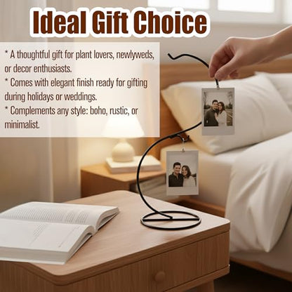 Ornament Display Stand Iron Pothook for Hanging Glass Globe Air Plant Terrarium Disco Witch Ball Christmas and Home Wedding Office Party Decoration Black Hanger Rack Hook Tree Flower Pot Holder