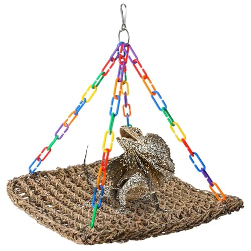 Reptile Hammock Lizard 、Parrot Basking Platform, Size M | Aquarium Grass Woven, Rainbow Chain Hammock, Bird Perch Swing Toy, Climbing Ladder for Bearded Dragon Gecko Chameleon - size: M