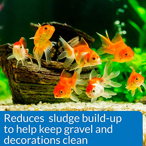 API GOLDFISH PROTECT Aquarium Water Conditioner 4-Ounce Bottle - size: Water Conditioner