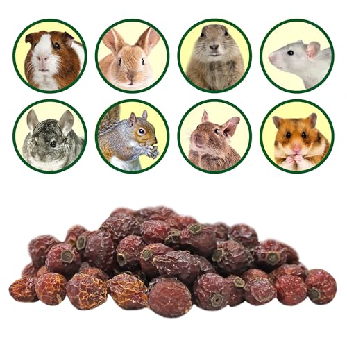 Dried Rose Hips (8 oz.) - Healthy Natural Treat - Chinchillas, Guinea Pigs, Rabbits, Prairie Dogs, Degus, Hamsters, Rats, Squirrels, Parrots, Chickens, Ducks & Other Small Pets (8 Ounce (Pack of 1)) - size: 8 Ounce (Pack of 1)