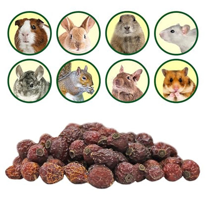 Dried Rose Hips (8 oz.) - Healthy Natural Treat - Chinchillas, Guinea Pigs, Rabbits, Prairie Dogs, Degus, Hamsters, Rats, Squirrels, Parrots, Chickens, Ducks & Other Small Pets (8 Ounce (Pack of 1)) - size: 8 Ounce (Pack of 1)