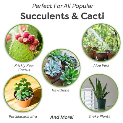 Perfect Plants Succulent & Cactus Soil, 1 qt, Organic Potting Mix | Fast draining blend of peat moss, composted pine bark, perlite and lime for the dry roots cacti love, resealable bag - size: 1 quart
