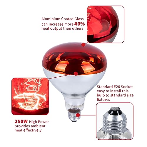 250 Watt Red Heat Lamp Bulbs, Chicken Infrared Incandescent Light Bulb, Brooder Heat Lamps for Chickens, Chicks, Reptile, Pets, Coop, Poultry, Food, Bathroom, Ceiling, E26 Base - 2 Pack