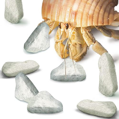 JOR 2 oz Hermit Crab Rocks, Natural Calcium Stones for Shrimp Tank Kit, Crab Decor Accessory, Rock Source for Crabs, Snails & Shrimp, Suitable for Marine Tanks, Freshwater Use & Terrarium Habitats