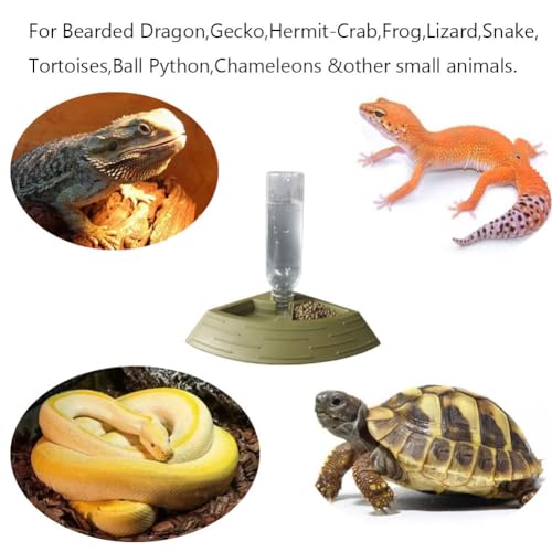 Reptile Feeder Bowl,Automatic Reptiles Water Dish Dispenser 2in1 Food and Water Feeding Bowls Terrarium Corner Bowl for Bearded Dragon Gecko Snake Lizard Turtles