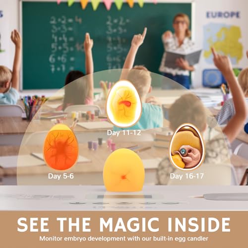 iPettie Nestasy ProHatch56 Egg Incubator with Automatic Egg Turning and Humidity Temperature Control, 56 Eggs Capacity for Hatching Eggs, Chicken Eggs, Duck Eggs, Temperature Adjustment and Alarms