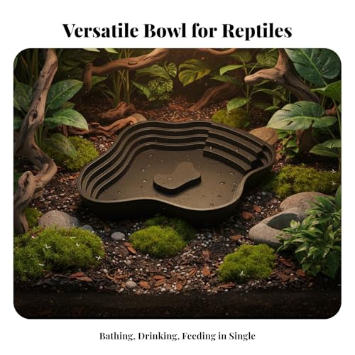 Amphibian Water Dish for Turtles, PP Reptile Bathing Pool with Ramp, 8.7 x 6.3 in Feeding & Soaking Basin for Terrariums - color: Black L