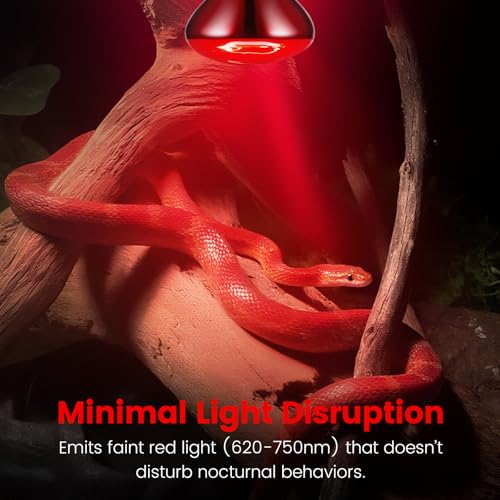 2-Pack 100W Infrared Heat Lamp - Reptile Heat Emitter, Red Heat Bulb for Chicked, Snake & Leopard Gecko, E26 Base