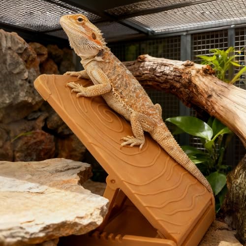 Bearded Dragon Tank Accessories, Adjustable Plastic Climbing Ramp with Anti-Slip Base for Small Reptile, Habitat Accessories for Bearded Dragon, Gecko, Chameleon and Other Small Reptile
