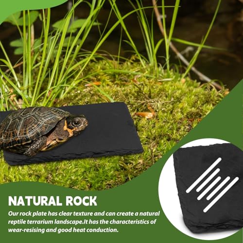 kathson 2 PCS Reptile Basking Platform (7.9 x 3.9 inches), Natural Rock Plate Turtle Food Bowl Feeding Dish Resting Terrace Habitat Decor for Tortoise Turtle Lizard Bearded Dragon Crested Gecko Snake - size: 7.8X3.9inch，2PCS