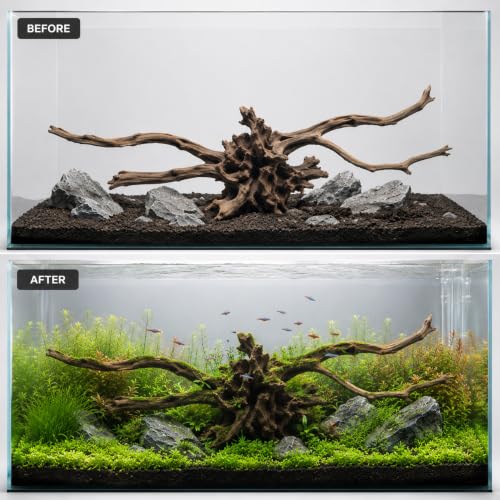 emours Natural Aquarium Driftwood, Horizontal Root Style Wood for Fish Tank Decor, Unique Driftwood for Aquascape, Terrarium and Reptile Display (8-12" (20-30 cm)) - size: 8-12" (20-30 cm)