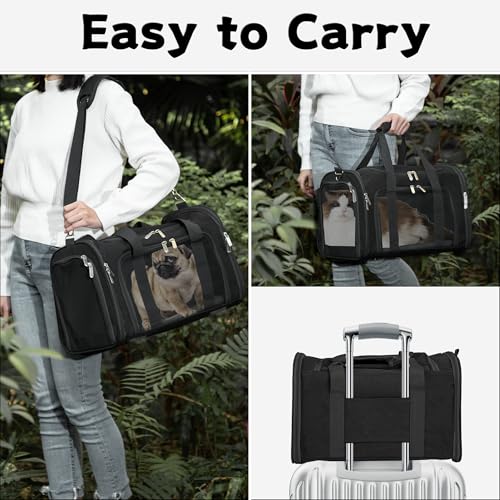 Soft-Sided Cat/Dog/Pet Carrier, Collapsible Pets Travel Carriers | for Big Cats/Small Dogs with Shoulder Strap & Removable Mat, Mesh Puppy Carry Bag, Up to 16 Lbs, TSA Airline Approved(Black) - color: BLACK, size: 17"L x 11"W x 11"H