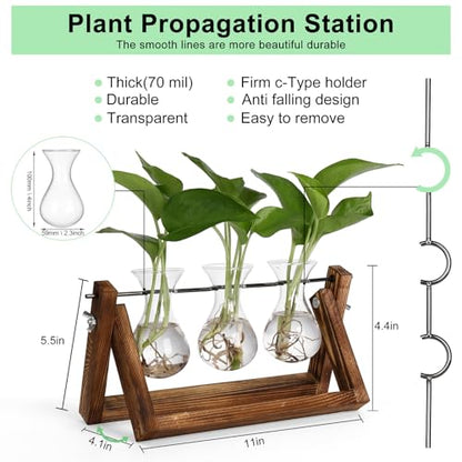 YIBOT Propagation Stations,Plant Terrarium with Wooden Stand-3 Glass Vases | Unique Gardening Birthday Gifts for Women Mom Plant Lovers, Indoor Hydroponics Plants Home Office Garden Desk Decor - size: 3Vase-B