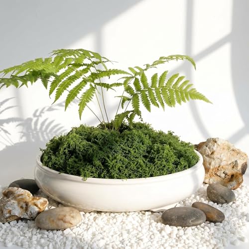 Artificial Moss for Potted Plants Indoor, 7OZ Fake Green Moss, Faux Craft Moss for Terrariums, Fairy Gardens, DIY Crafts, Table Centerpieces, Wedding & Home Decor (Natural Green)