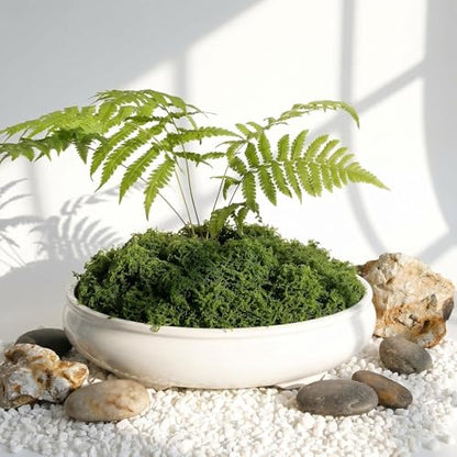 Artificial Moss for Potted Plants Indoor, 7OZ Fake Green Moss, Faux Craft Moss for Terrariums, Fairy Gardens, DIY Crafts, Table Centerpieces, Wedding & Home Decor (Natural Green)
