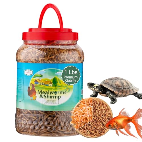 Amzey Shrimp & Mealworms 100% Non-GMO Dried Mealworms - High-Protein Meal Worm Treats - Perfect for Your Chickens, Ducks, Wild Birds, Turtles, Hamsters, Fish and Hedgehogs