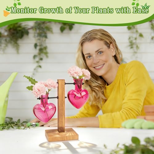 XXXFLOWER Plant Propagation Station Terrarium 2 Pink Heart Shaped Vase | Terrarium Kit Bulb Glass Metal Desk Plant Holder, Retro Air Plants Water Plants, Home Office Decoration - color: Pink