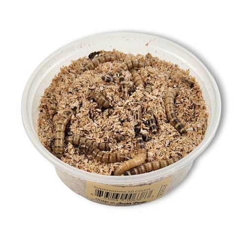 Josh's Frogs Superworms (50 Count)