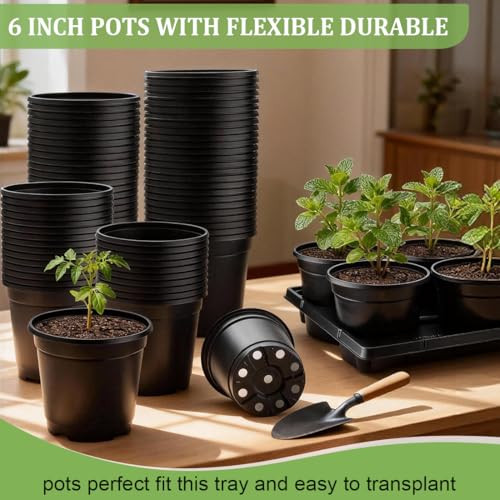 RooTrimmer 6 Inch Plastic Plant Pots 30 Pack and 6 Cell Nursery Pots Trays 5 Pack, Sturdy Seeds Starting Germination Shuttle Carrying Trays, Black Nursery Planting Propagation 5 Sets - color: Black + Black, size: 6 Inch 30 Pack Pots With 5 Pack Trays