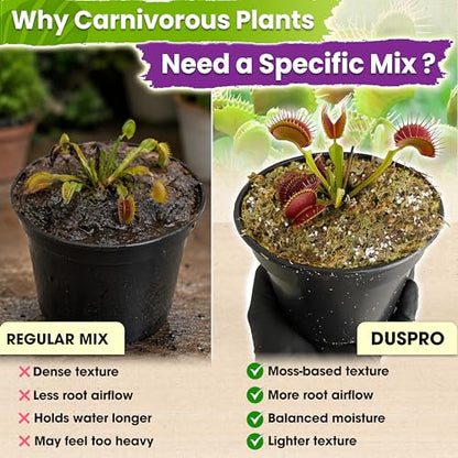 Carnivorous Plant Soil Mix, 3in1 Pre-Mixed & Ready to Use, 1.5 QT | Forest Moss, Peat Moss & Perlite, Balanced Moisture, Drainage & Airflow for Venus Flytrap, Pitcher Plant, Sundew & Butterwort - size: 1.5 QT
