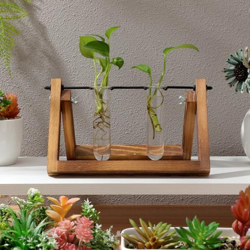 5PCS Glass Tubes for Plants, Propagation Tubes for Plants | Glass Test Pipe Vase for Scientific Experiments, Desktop Party Home Office Decor, Flowers Desktop, Indoor Hydroponic Station