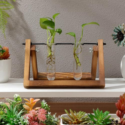 5PCS Glass Tubes for Plants, Propagation Tubes for Plants | Glass Test Pipe Vase for Scientific Experiments, Desktop Party Home Office Decor, Flowers Desktop, Indoor Hydroponic Station