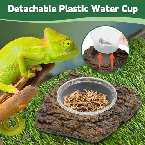 PINVNBY Gecko Feeder Bowl Resin Rock Reptile Water Dish with Feeding Cups Gecko Reptile Terrarium Tank Accessories for Bearded Dragons Leopard Lizard Snake Chameleon